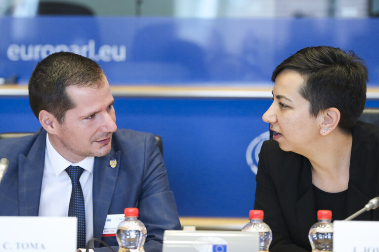 LIBE - Interparliamentary Committee Meeting ' Fundamental rights aspects of Roma inclusion and fighting anti-Gypsyism '