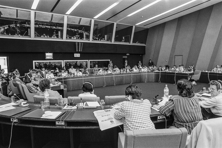 Meeting on women's rights in Strasbourg in June 1986