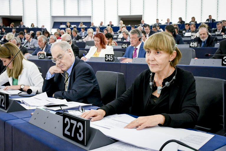 Monica MACOVEI in the EP in Strasbourg