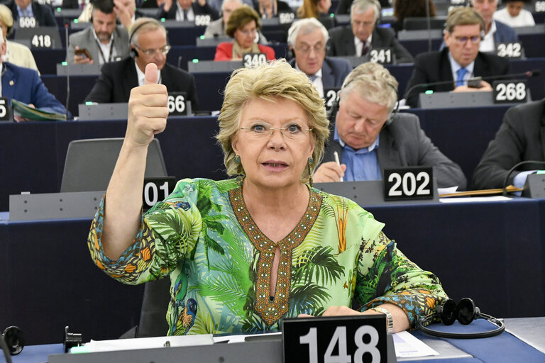 Viviane REDING in the EP in Strasbourg