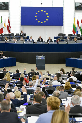 Foto 12: Plenary session - Explanations of votes