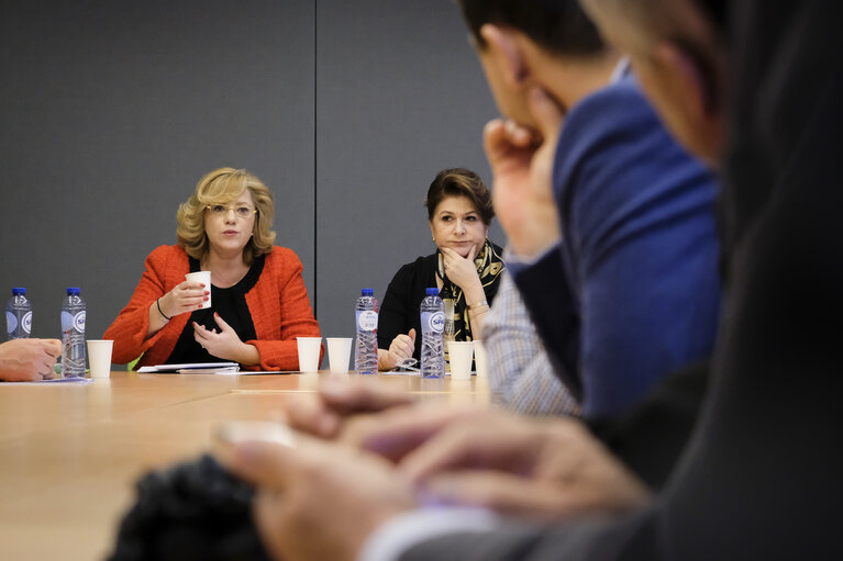 Corina CRETU - Commissioner for Regional Policy meets with a group of mayors from Buzau County, Romania