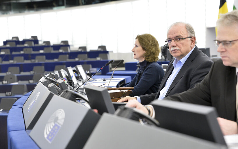 Foto 8: Plenary session - Explanation of votes