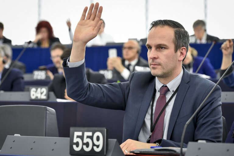 Arndt KOHN voting in plenary session in Strasbourg