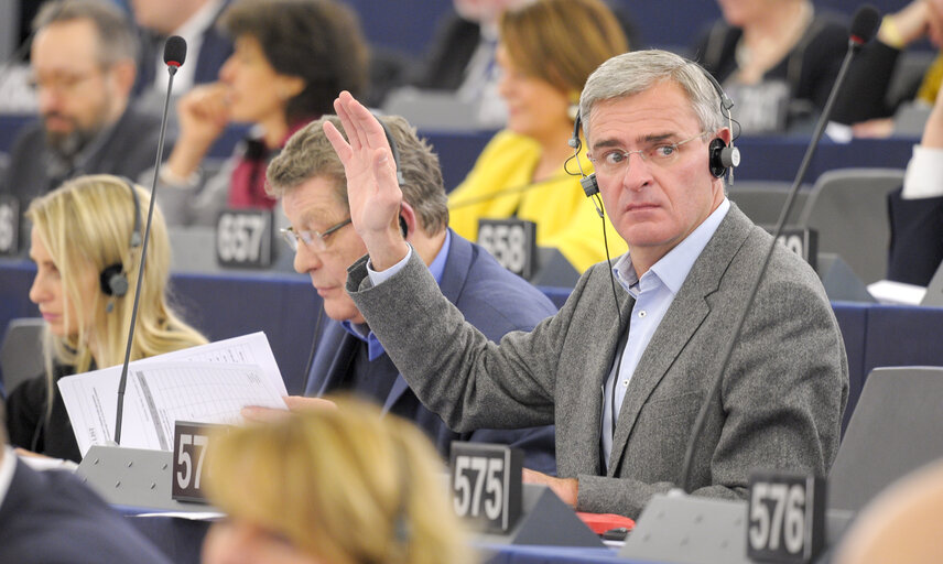 Marc JOULAUD in plenary session week 48 2015 in Strasbourg during votes