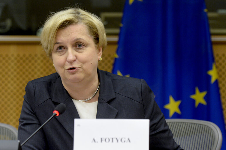 SEDE Public hearing ' The use of Private Security Companies in the context of European security and defence '