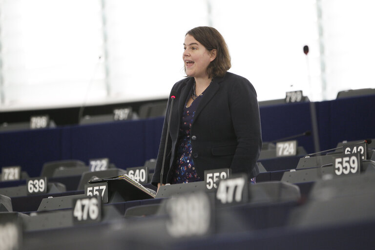 Plenary session week 51 2015 in Strasbourg - Explanation of votes