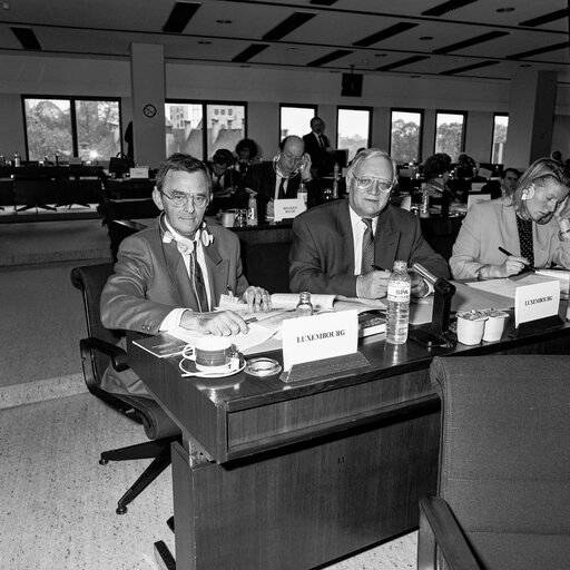 Interparliamentary meeting on social affairs in April 1990 in Brussels