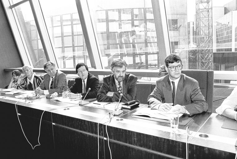 Meeting at the European Parliament in Strasbourg