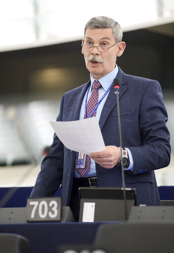 Fotagrafa 36: Plenary session week 11 2015 in Strasbourg - 2014 Progress report on the former Yugoslav Republic of Macedonia