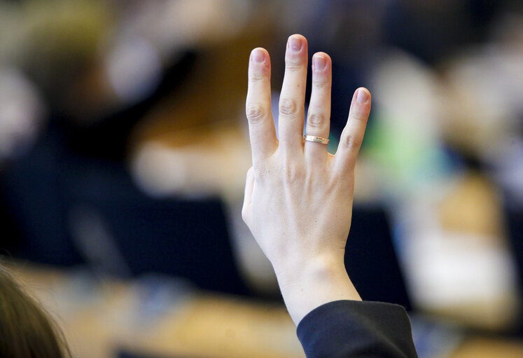 Fotogrāfija 10: ECON/BUDG Joint Committee Meeting - vote on the Juncker investment plan