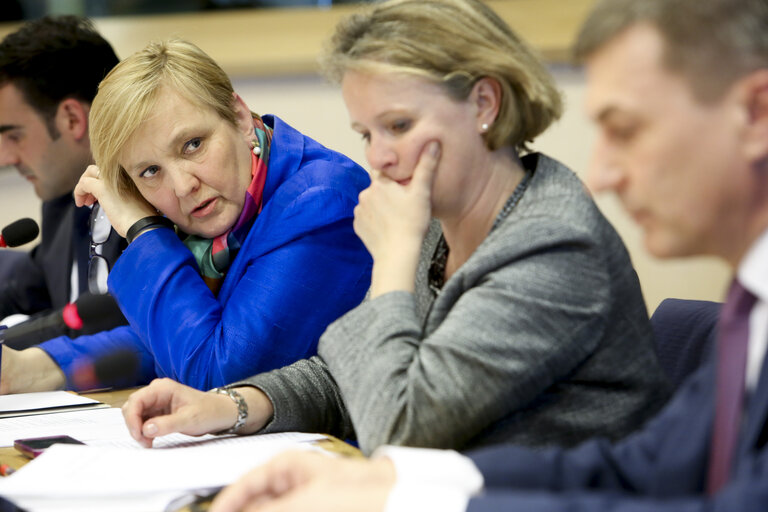 IMCO Working Group on Digital Single Market
