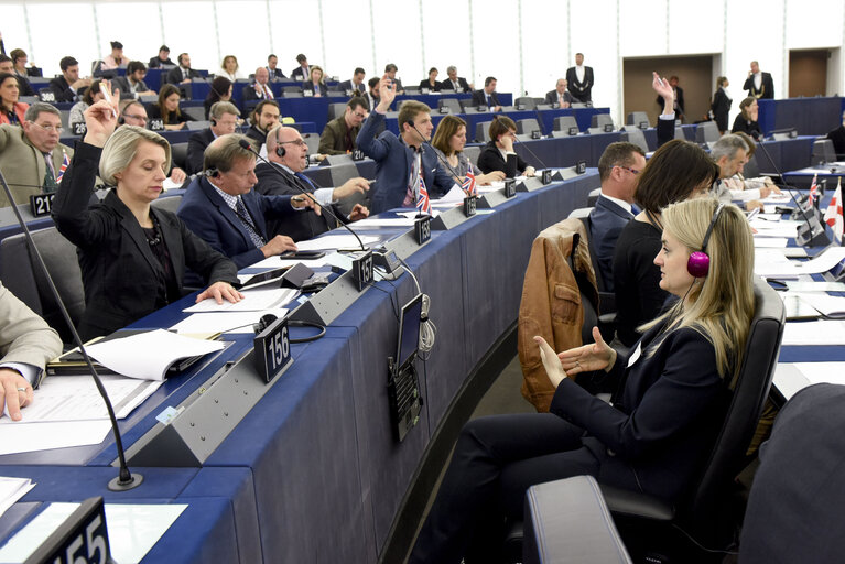 Photo 2 : Sign language in Plenary session week 24 2015 in Strasbourg