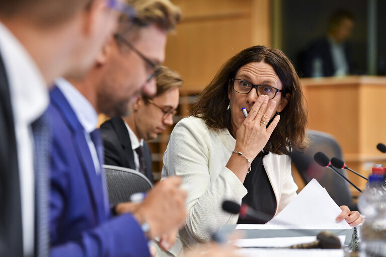 Photo 26: INTA committee meeting. Exchange of views with Cecilia MALMSTROM, Member of the EC in charge of Trade.