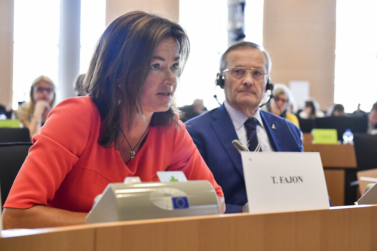 LIBE committee meeting - Vote on Listing the third countries whose nationals must be in possession of visas when crossing the external borders and those whose nationals are exempt from that requirement (Kosovo) - report Tanja FAJON (S&D,SI)