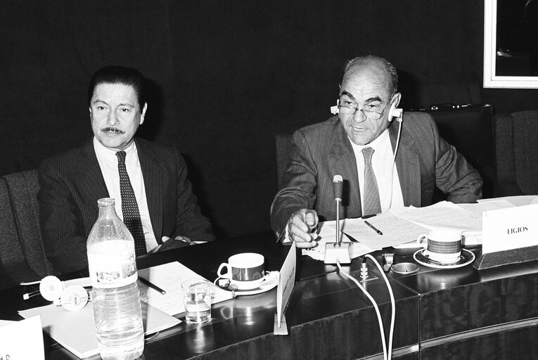 Billede 3: Delegation for relations with the countries of South America - Meeting with the Vice-President of Bolivia in June 1986 in Strasbourg