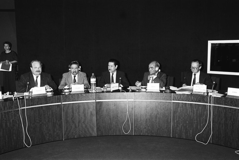 Billede 4: Delegation for relations with the countries of South America - Meeting with the Vice-President of Bolivia in June 1986 in Strasbourg