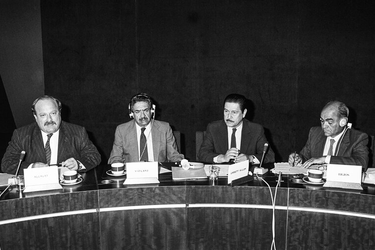 Billede 5: Delegation for relations with the countries of South America - Meeting with the Vice-President of Bolivia in June 1986 in Strasbourg