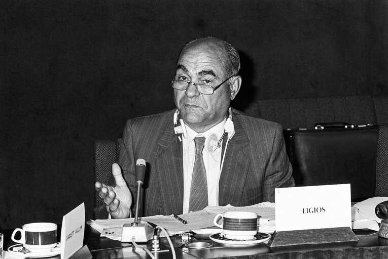 Fotografija 6: Delegation for relations with the countries of South America - Meeting with the Vice-President of Bolivia in June 1986 in Strasbourg