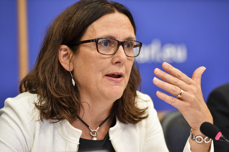 Fotografi 20: INTA committee meeting. Exchange of views with Cecilia MALMSTROM, Member of the EC in charge of Trade.