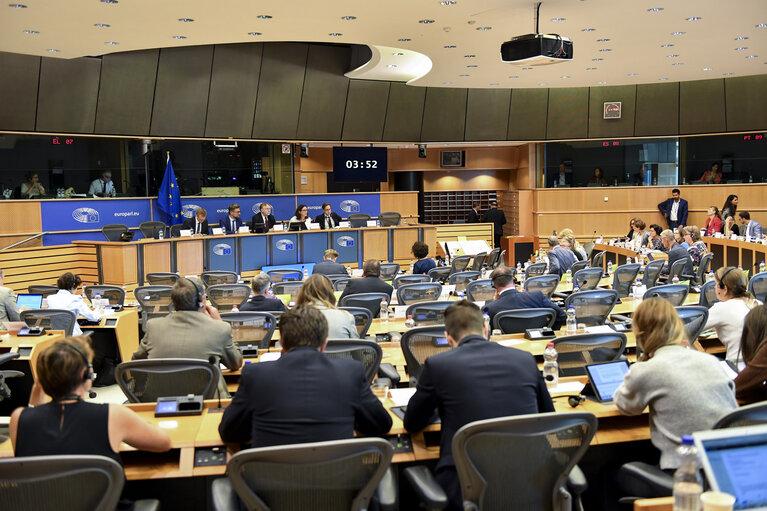 Photo 17: INTA committee meeting. Exchange of views with Cecilia MALMSTROM, Member of the EC in charge of Trade.