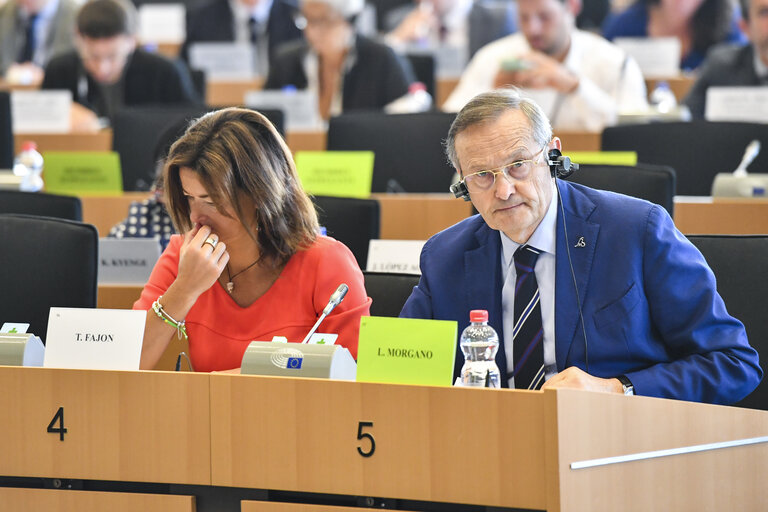 Photo 9: LIBE committee meeting - Vote on Listing the third countries whose nationals must be in possession of visas when crossing the external borders and those whose nationals are exempt from that requirement (Kosovo) - report Tanja FAJON (S&D,SI)