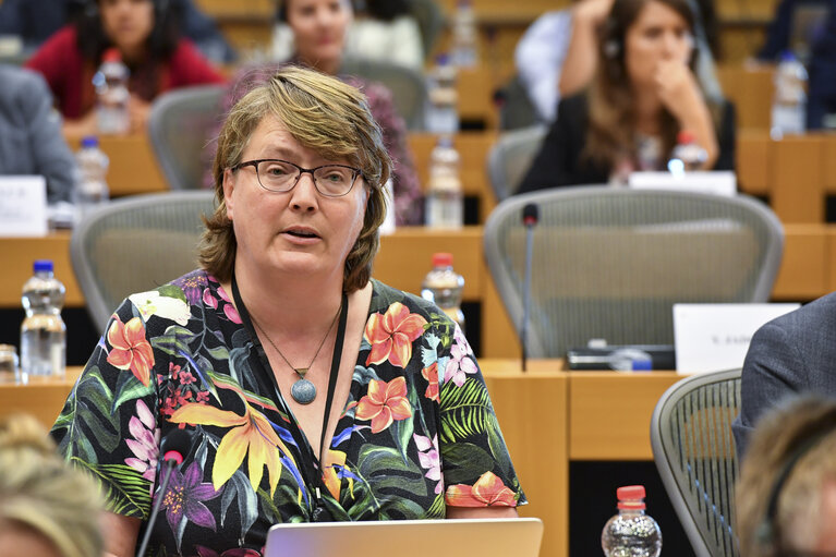 Photo 2: INTA committee meeting. Exchange of views with Cecilia MALMSTROM, Member of the EC in charge of Trade.