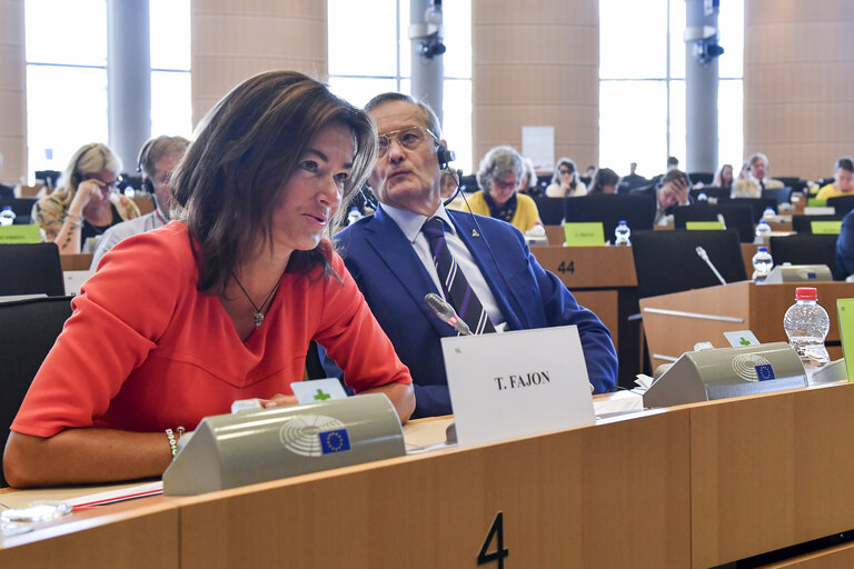 LIBE committee meeting - Vote on Listing the third countries whose nationals must be in possession of visas when crossing the external borders and those whose nationals are exempt from that requirement (Kosovo) - report Tanja FAJON (S&D,SI)