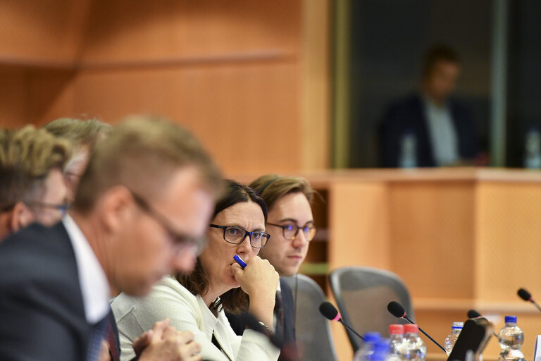 Photo 12: INTA committee meeting. Exchange of views with Cecilia MALMSTROM, Member of the EC in charge of Trade.