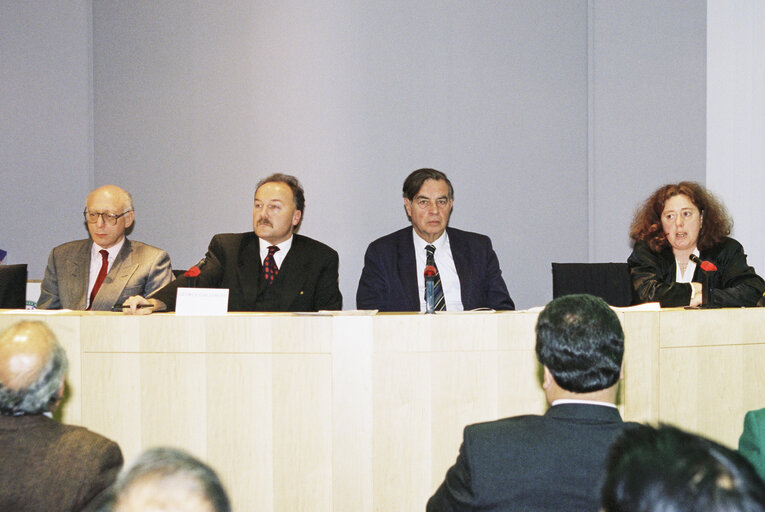 British MEPs with visitors from Kashmir