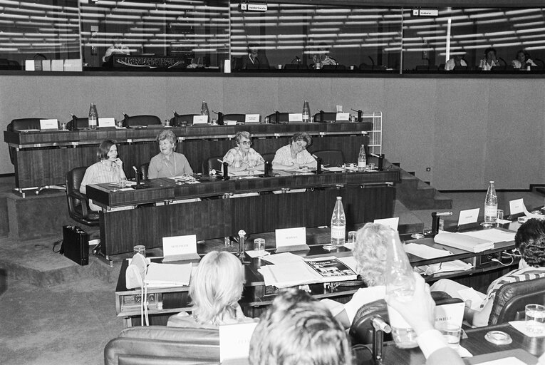 Meeting of the Committee of inquiry into the situation of women in Europe at the EP in Strasbourg