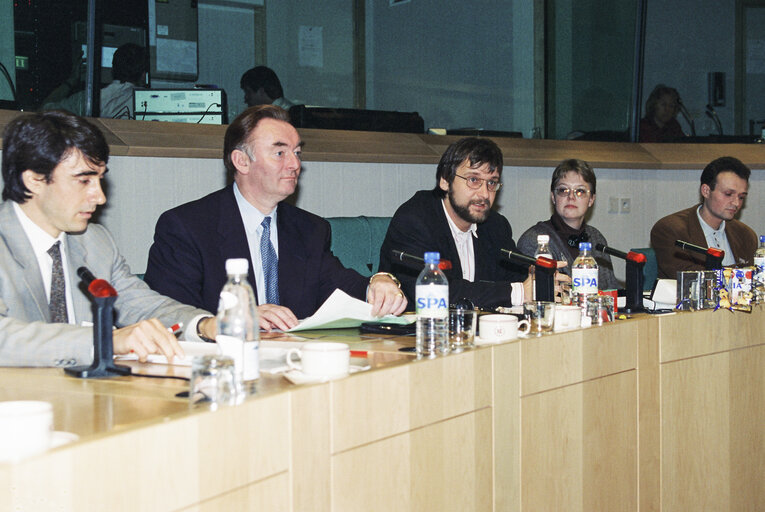 Meeting at the European Parliament in Strasbourg