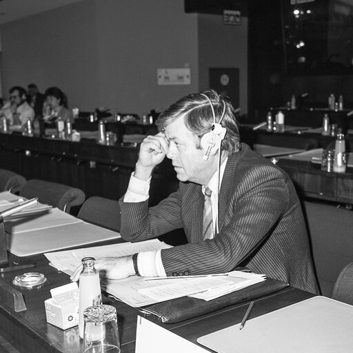 Committee on Women's Rights meeting at the European Parliament in Strasbourg