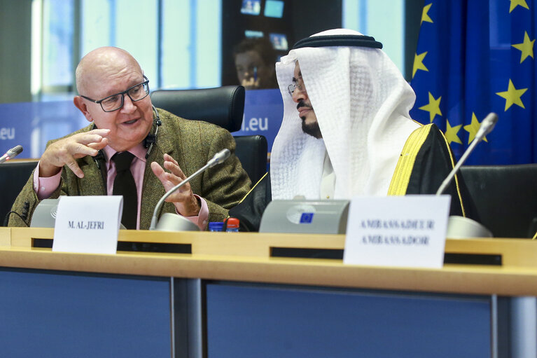 Photo 5: AFET Committee meeting