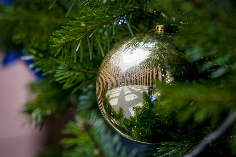 Christmas Tree at EP Parliament in Strasbourg