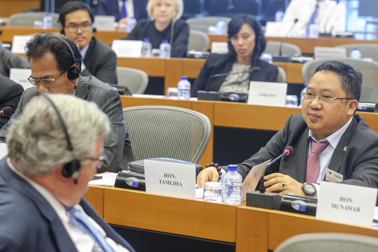 Fotografija 15: Meeting of the DASE (Delegation for Relations with the countries of South-East Asia and the ASEAN) with a high ranking Delegation from Indonesia