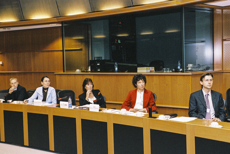 Meeting in the European Parliament