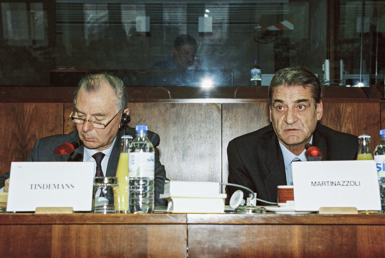 EPP group meeting with the Secretary of the Italian Christian Democracy