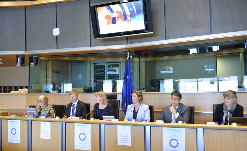 Foto 20: EU Diabetes Working Group:  Diabetes in Europe: The State we are in Key priorities for the European Institutions