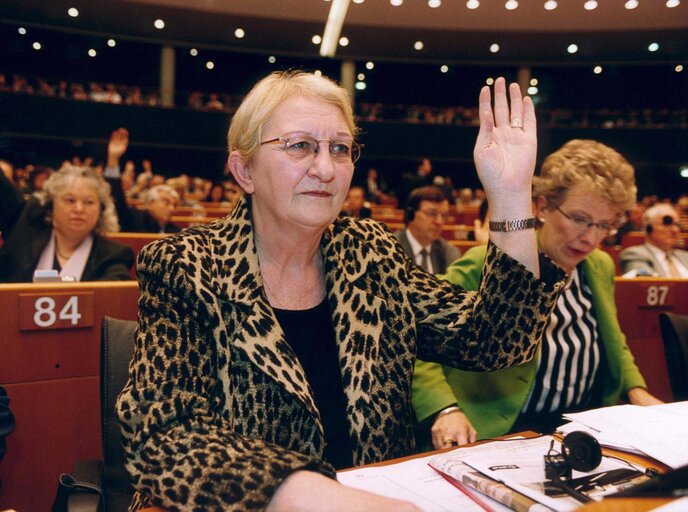 MEP Nelly MAES attends a plenary session in Brussels