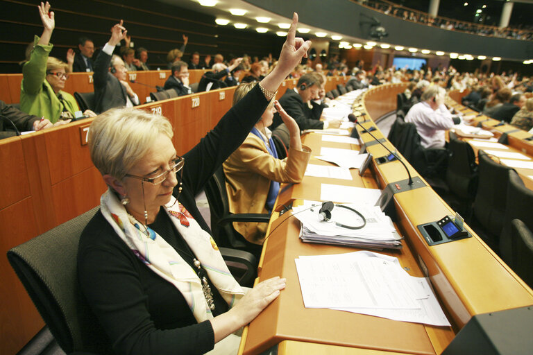 Rosa MIGUELEZ RAMOS in plenary session in Brussels.