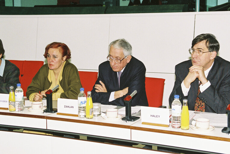 Meeting at the European Parliament in Brussels