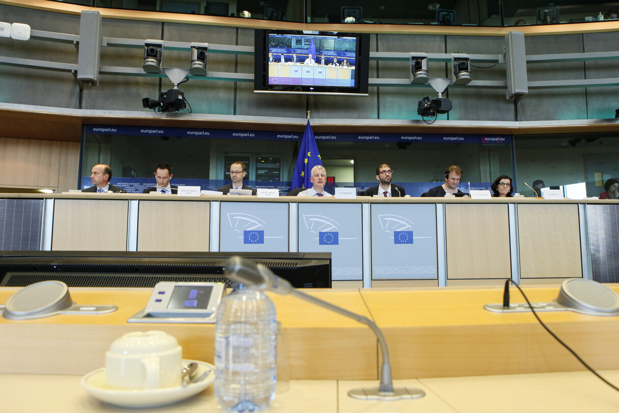 ENVI Committee - Vote on ETS backloading and Fluorinated greenhouse gases