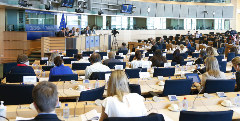 Fotografija 6: Audition of the candidates for the post of European Ombudsman.