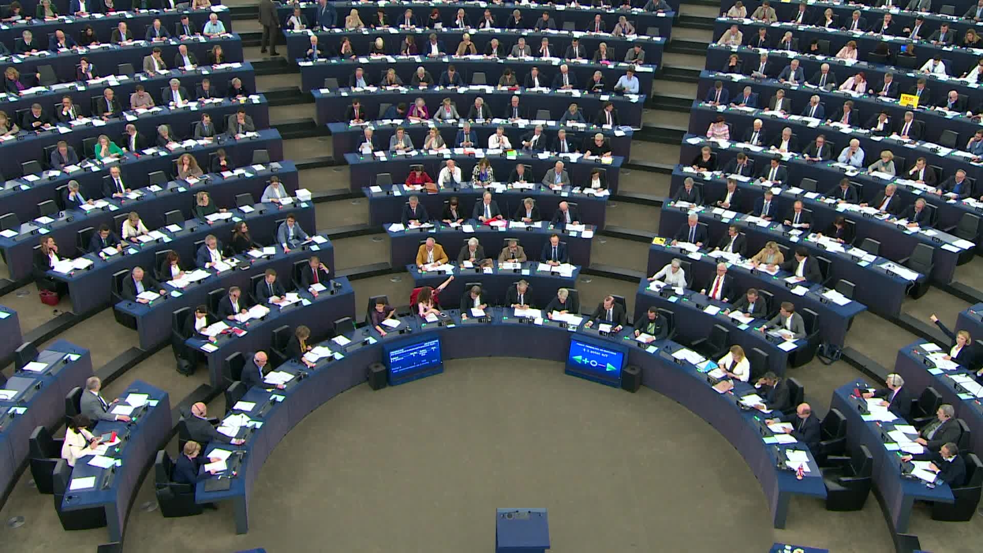 European Parliament - 8th Parliamentary Term: Strasbourg - Hemicycle full - Ambiance shots