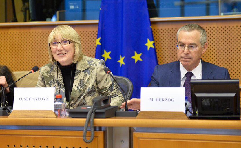 Fotografija 11: Meeting of the EP-Israel delegation