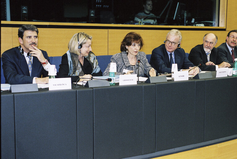 Foto 1: Meeting at the European Parliament in Strasbourg with French Minister Delegate for European Affairs