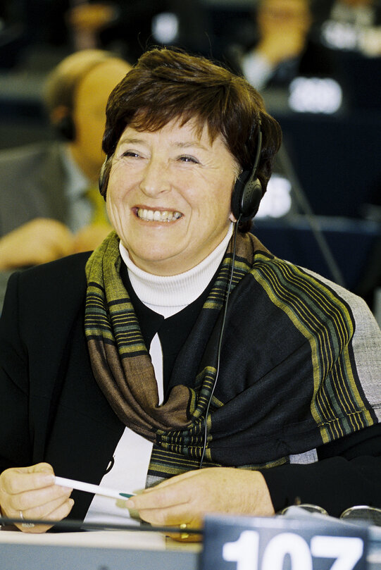 Miet SMET during the plenary session at the European Parliament in Strasbourg