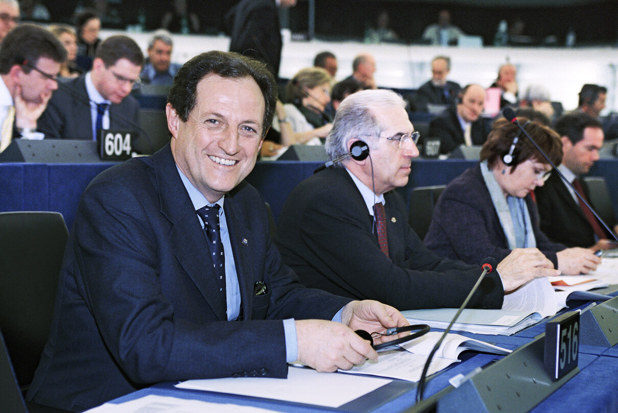 MEP Mario MANTOVANI in Plenary Session in Strasbourg