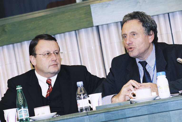 Meeting at the European Parliament in Strasbourg